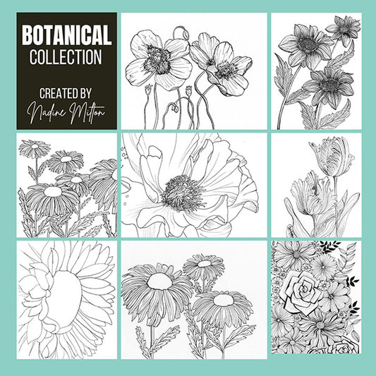 Botanical Illustrations Collection