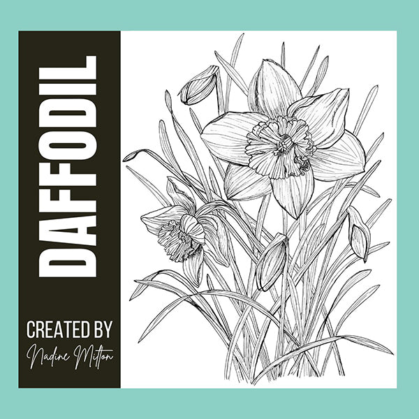 Spring Botanical Illustrations Collection