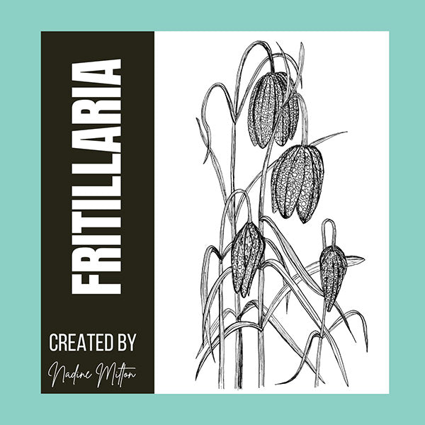 Spring Botanical Illustrations Collection