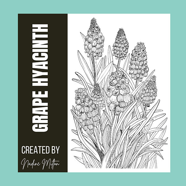 Spring Botanical Illustrations Collection