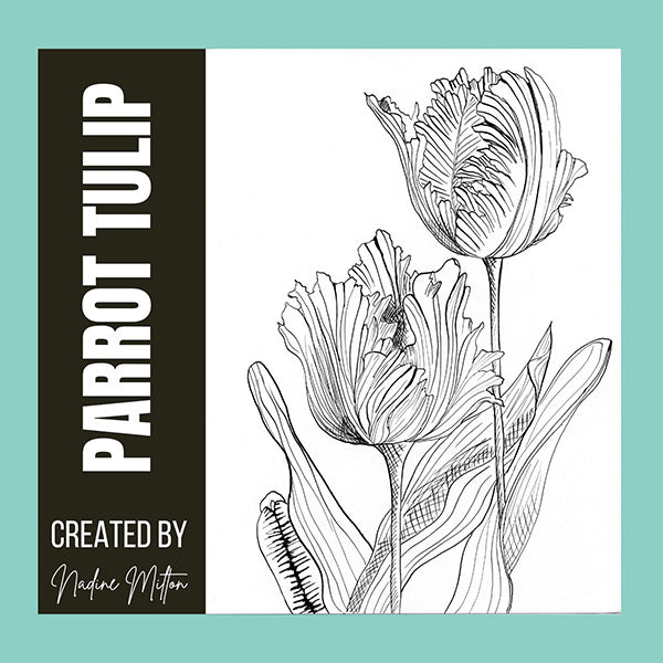 Parrot Tulip Illustration