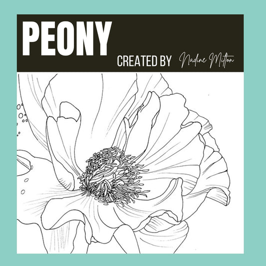 Peony Illustration