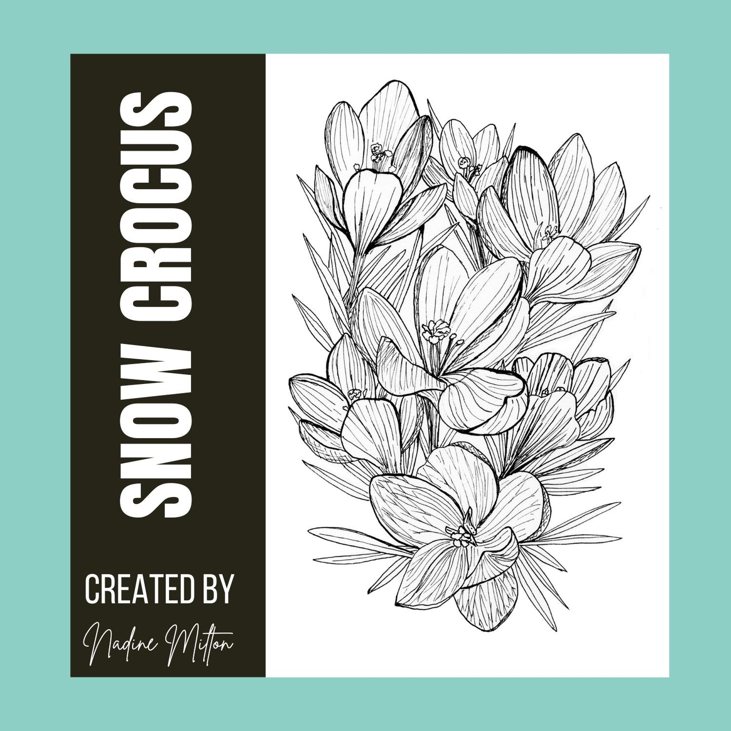 Spring Botanical Illustrations Collection