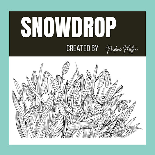 Snowdrop Illustration