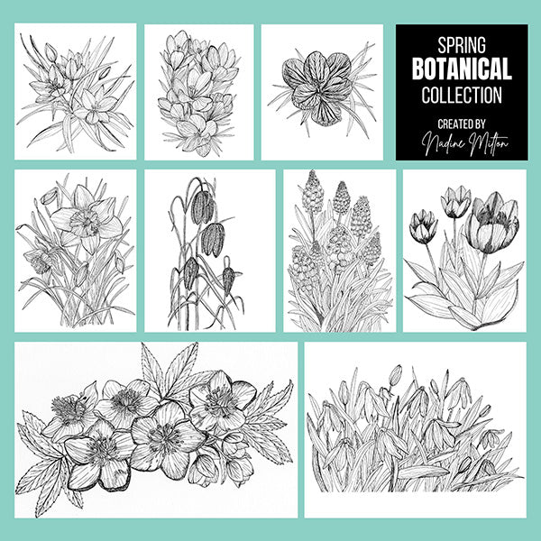 Spring Botanical Illustrations Collection