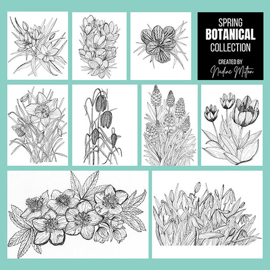 Spring Botanical Illustrations Collection