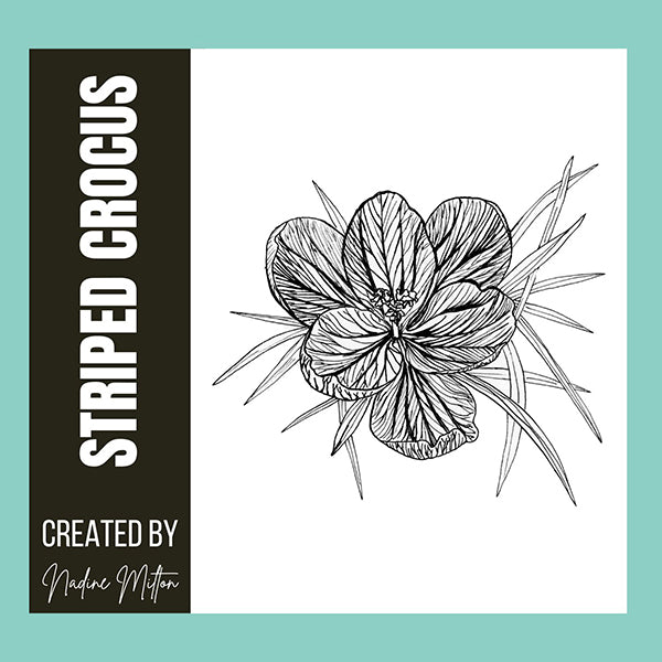 Spring Botanical Illustrations Collection