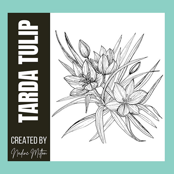 Spring Botanical Illustrations Collection