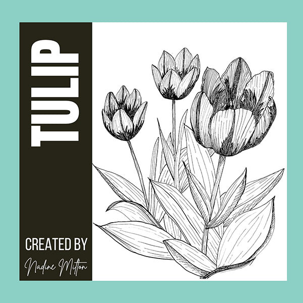 Spring Botanical Illustrations Collection